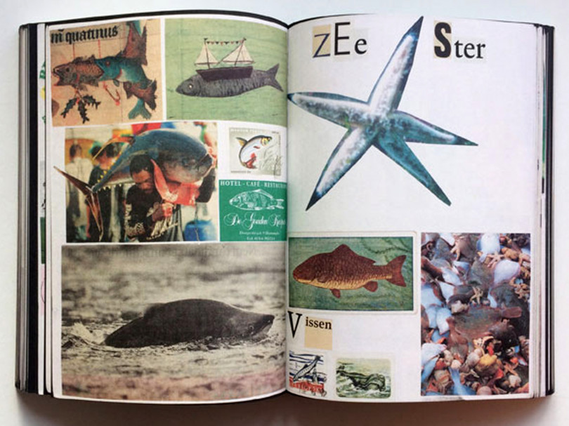 『Animal Books For / Dierenboeken Voor Jaap Zeno Anna Julian Luca』Lous Martens