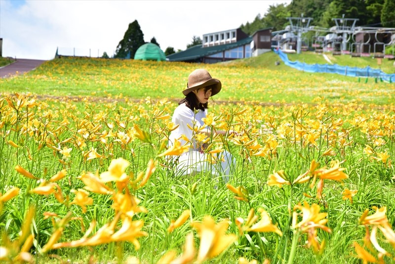 神戸・六甲山で「初夏の花めぐり ROKKO フォトグラフィックガーデン」を、5月11日から7月31日まで初開催