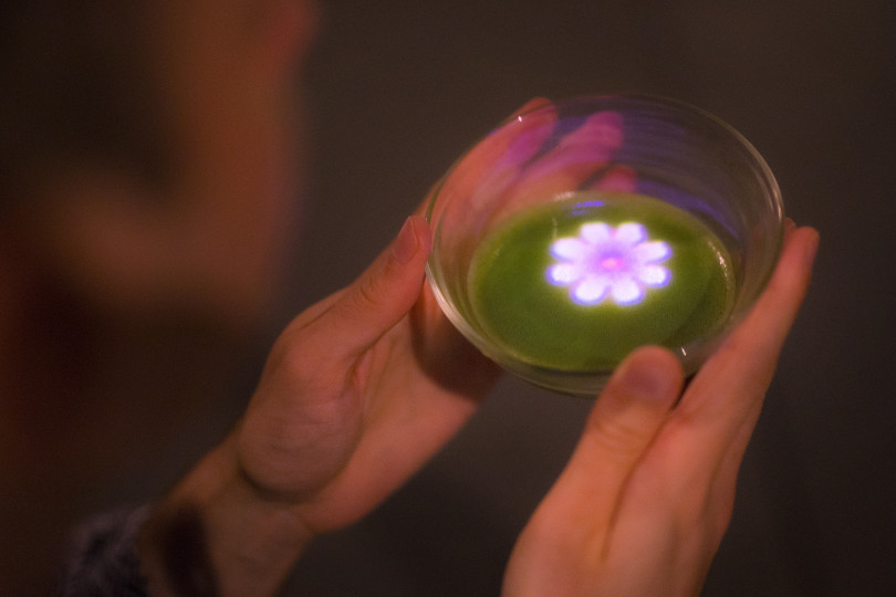 小さきものの中にある無限の宇宙に咲く花々 / Flowers Bloom in an Infinite Universe inside a Teacup teamLab, 2016, Interactive Digital Installation, Endless, Sound: Hideaki Takahashi