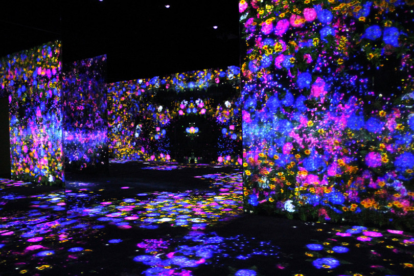 花の森、埋もれ失いそして生まれる/ Flower Forest: Lost, Immersed and Reborn teamLab, 2017, Interactive Digital Installation, Endless, Sound: Hideaki Takahashi