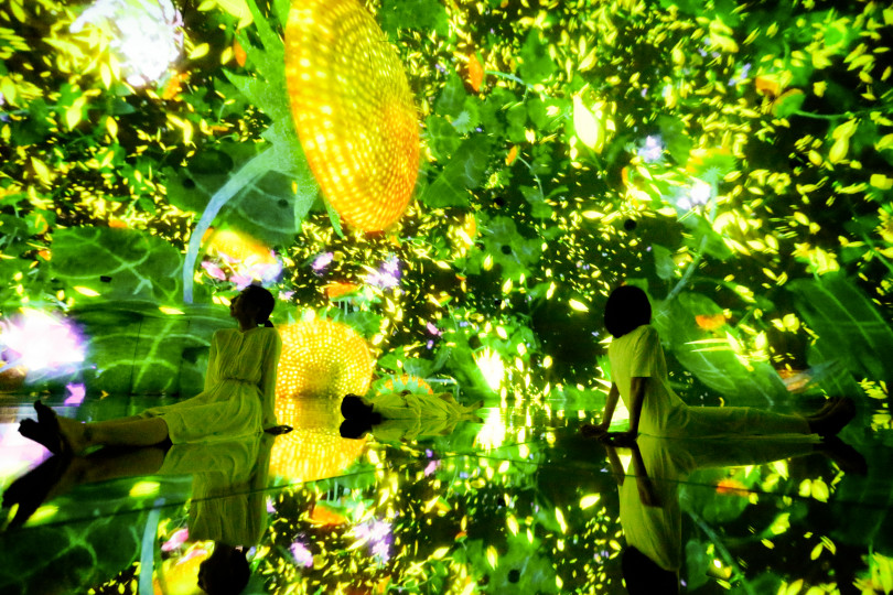 「Floating in the Falling Universe of Flowers」teamLab, 2016-2018, Interactive Digital Installation, Endless, Sound: Hideaki Takahashi