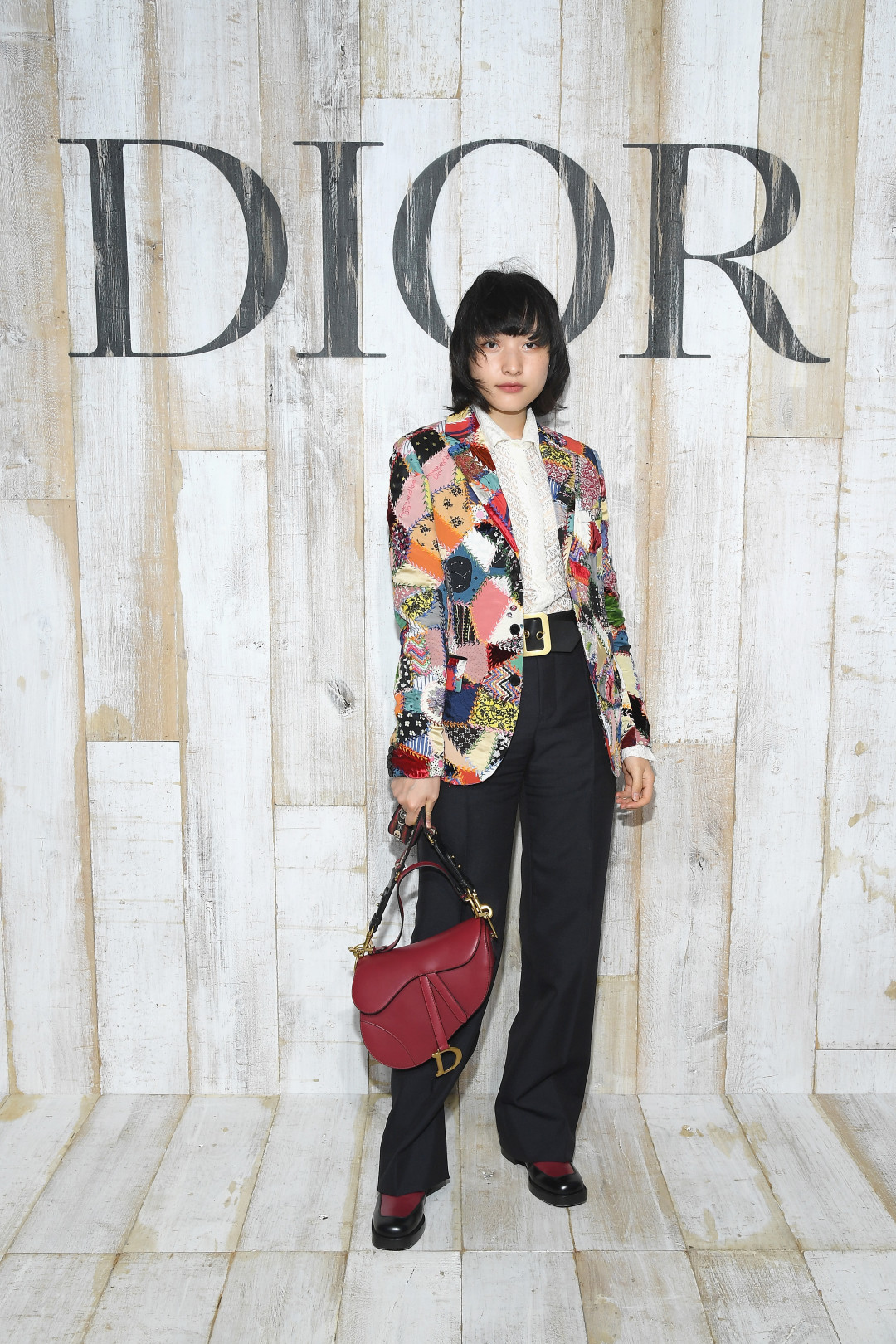 DIOR SADDLE BAG HANNA CHAN DIOR CRUISE 2019