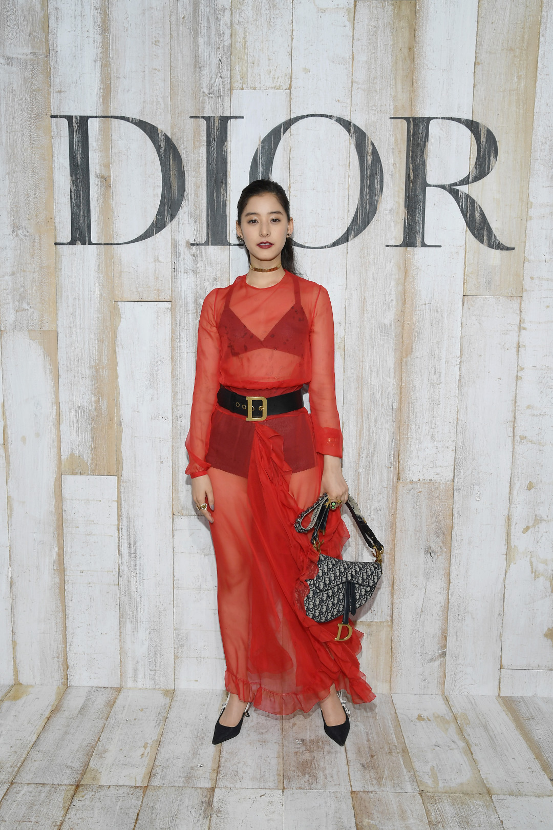 DIOR SADDLE BAG YUKO ARAKI DIOR CRUISE 2019