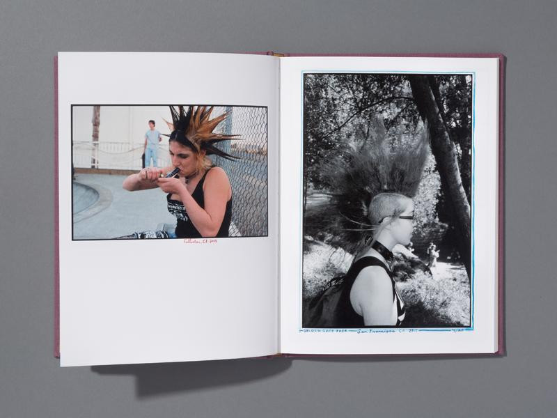 『Hairdos Of Defiance』Ed Templeton