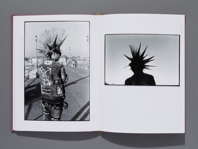 『Hairdos Of Defiance』Ed Templeton