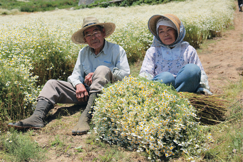 「華密恋」