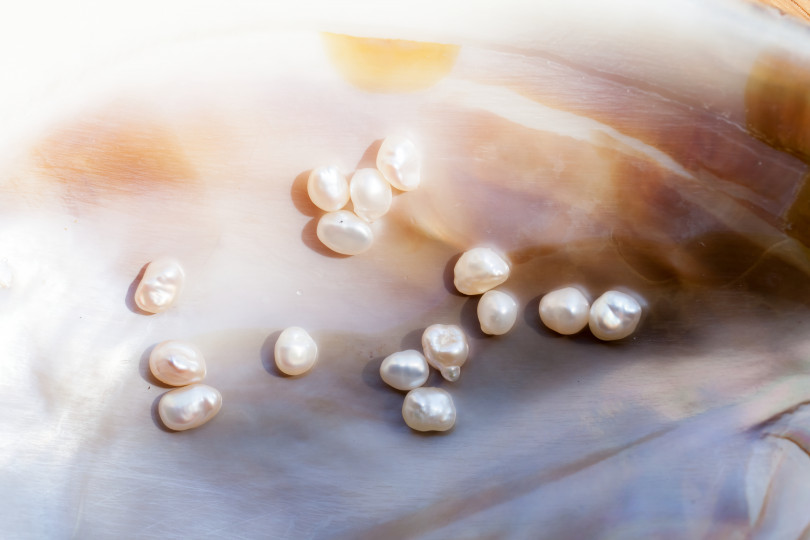 OFS galleryで「Lake of Grace #002 “Pearls of Lake Biwa”」開催