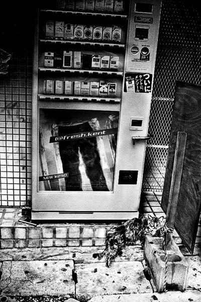 『Okinawa』 Anders Petersen