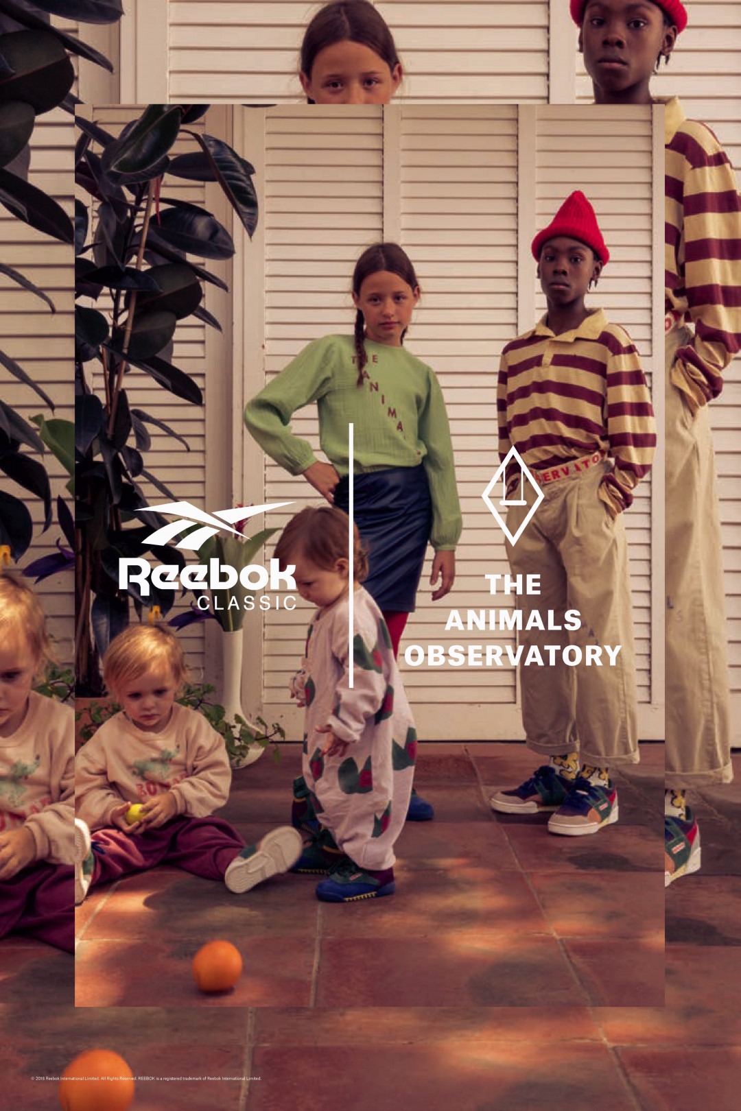 Reebok x THE ANIMALS OBSERVATORY