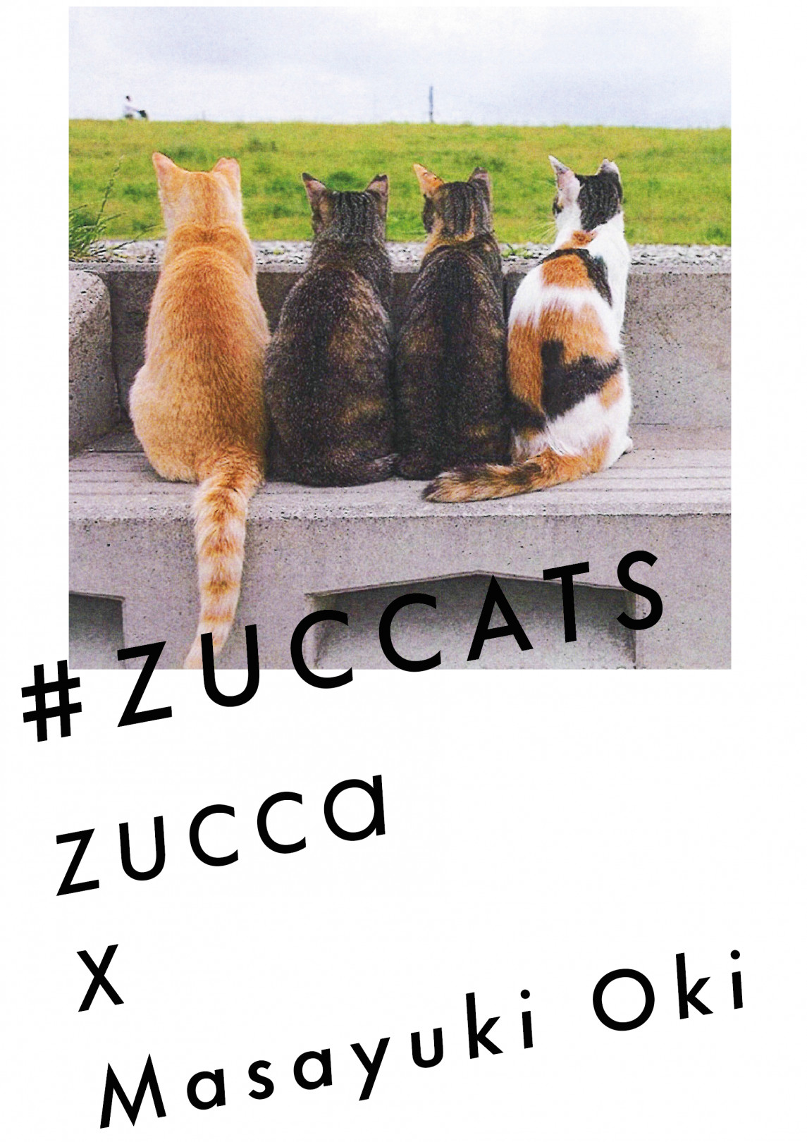 ズッカ（ZUCCa）から「#ZUCCATS」コレクションが発売