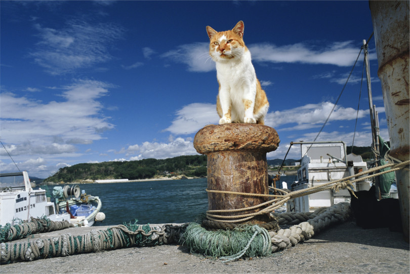 網地島、宮城県石巻市