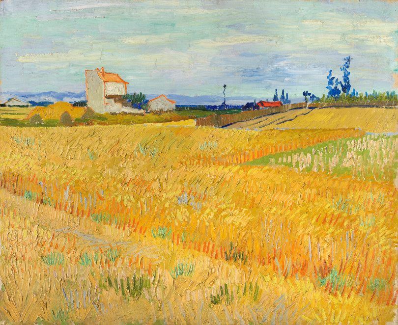 フィンセント・ファン・ゴッホ 《麦畑》 1888年6月 油彩、カンヴァス 50×61cm P. & N. デ・ブール財団