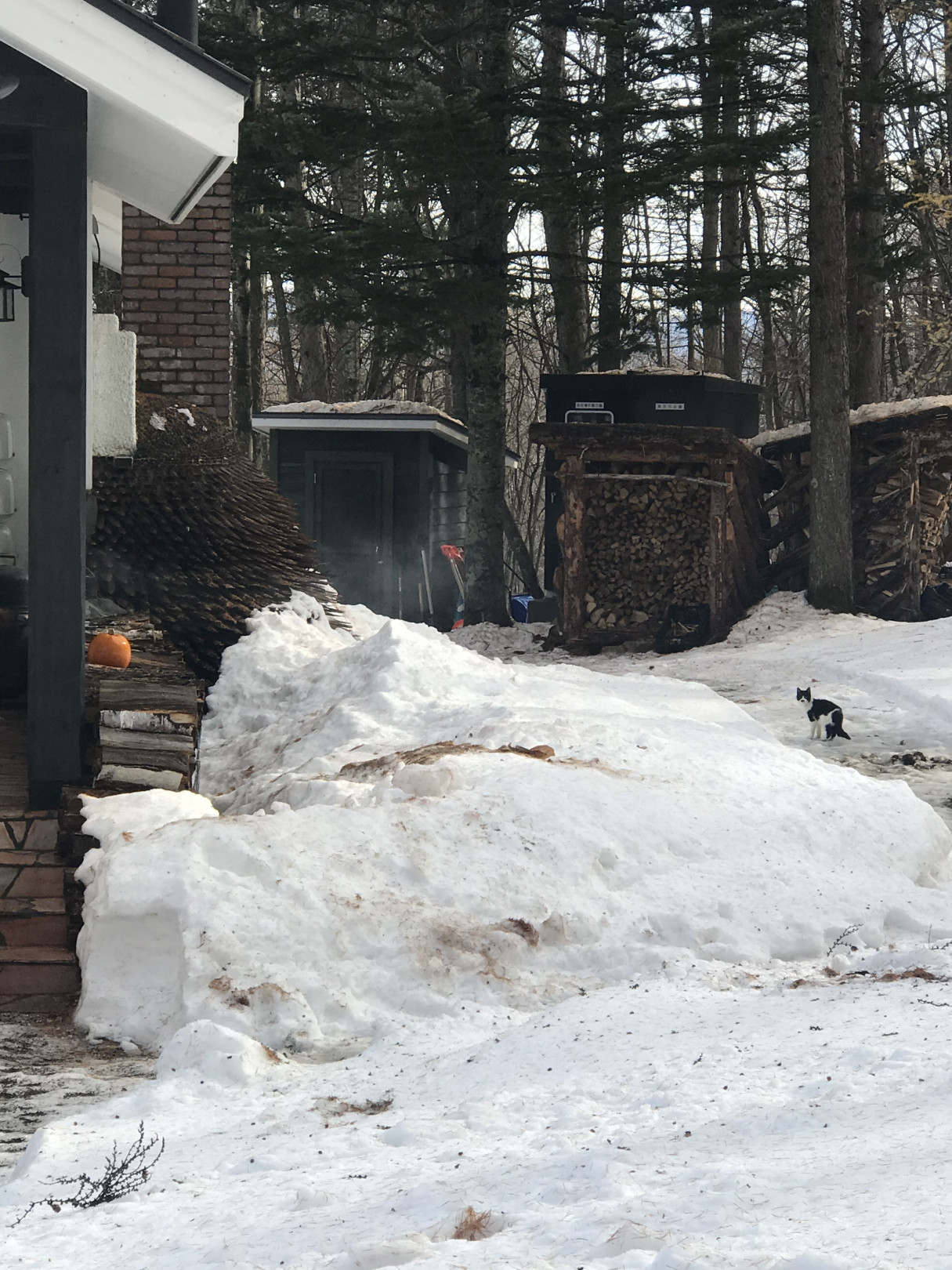 冬の北海道へトリップ! 雪・星空・食を堪能するデジタルデトックスの一人旅【EDITOR'S BLOG】