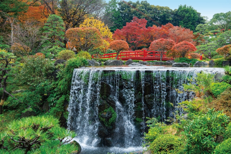 秋深まる日本庭園の絶景