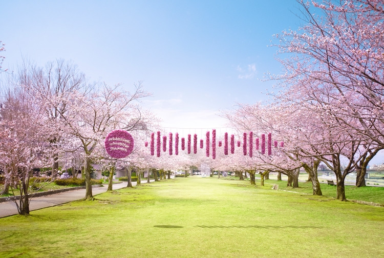 Spotify コード 2 「SAKURA (SOUND TOUR)」